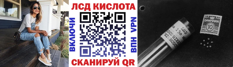 где продают   Калининец  Марки N-bome 1,8мг 